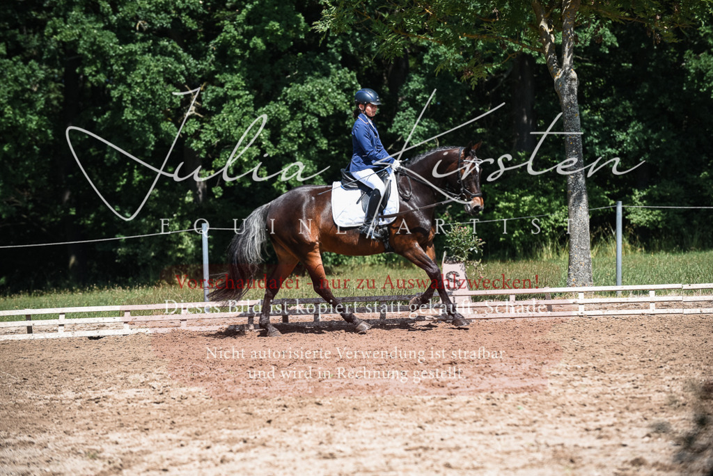 DSC_3371 | Pferde- und Turnierfotografie in Westsachsen. Pferdeportraits, Auftragszeichnungen und intuitive Kunst.