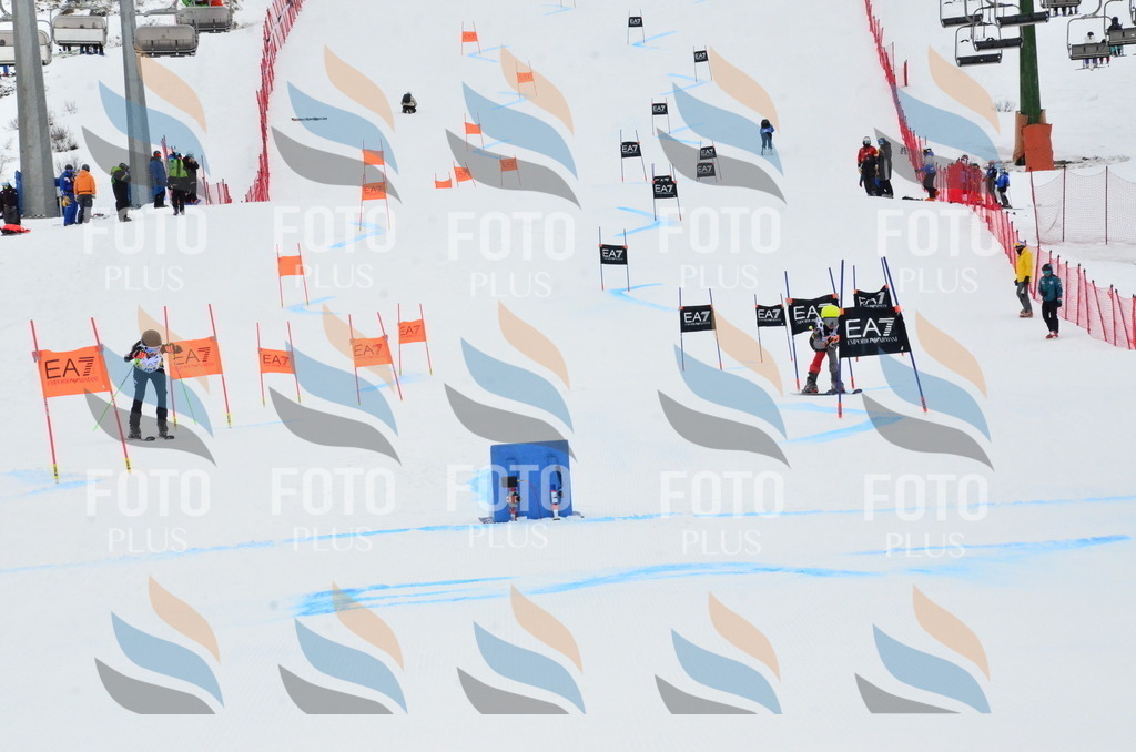 _ELE3561 | holidayphoto