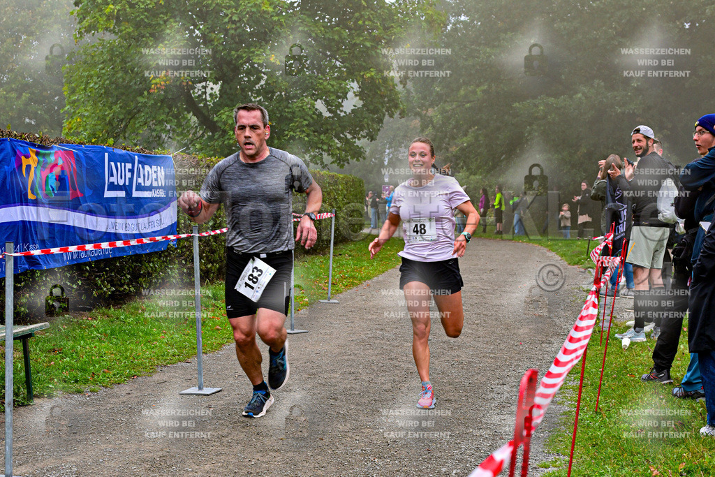 Z8N_1374 | la-psv - Realisiert mit Pictrs.com