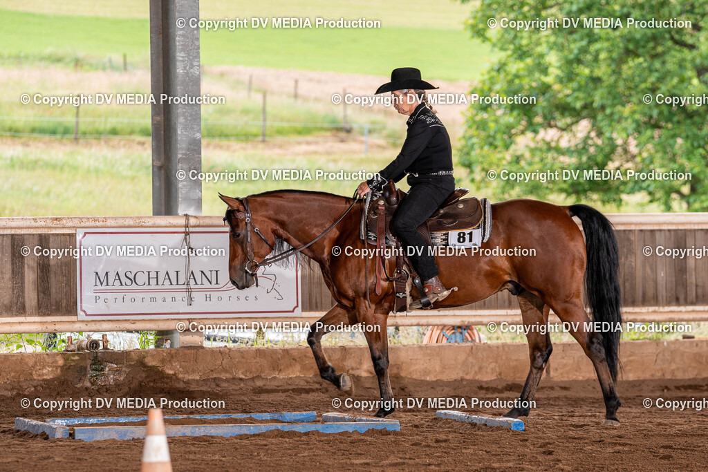 Erbach Tag 2-306 | dv-media-shop - Realisiert mit Pictrs.com