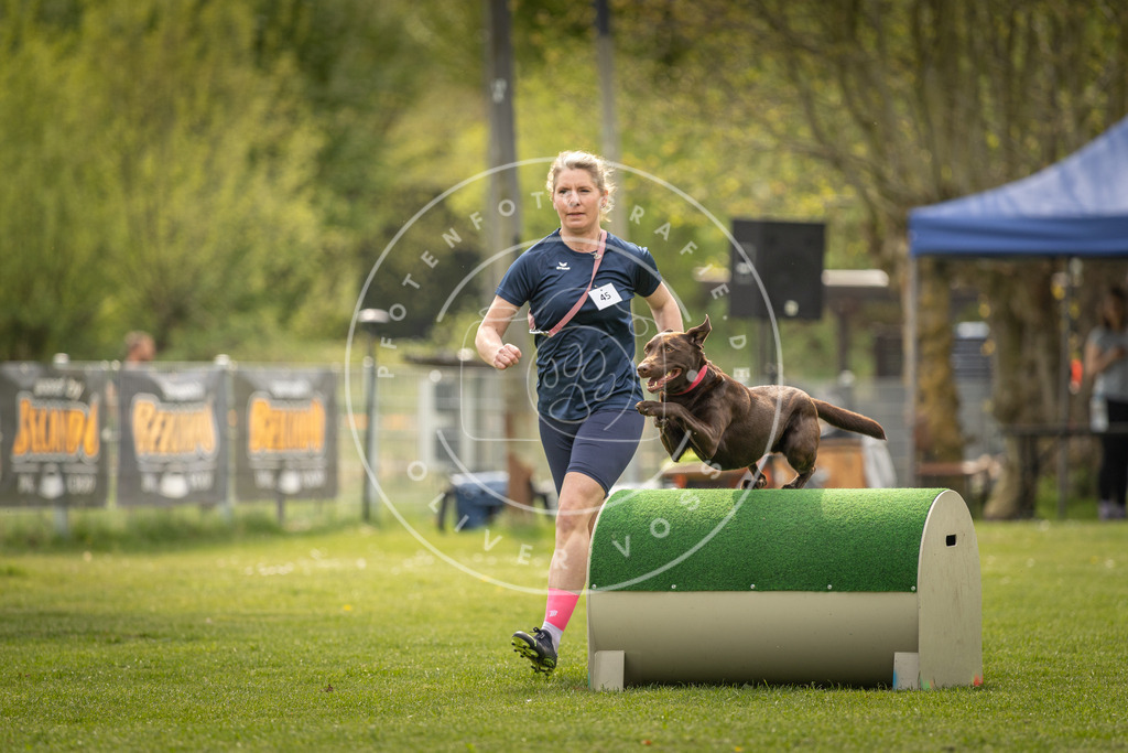 Pfotenfotografie_DV3A6693 | Hundefotografie, Tierfotograf, Pfotenfotografie, Fotoshooting Hund, Hunde Portrait, Hundesport, Hundeportraits, Heideshooting, Hunde, Sportfotograf, Hundefotograf, Turnierhundsport, THS,  - Realisiert mit Pictrs.com