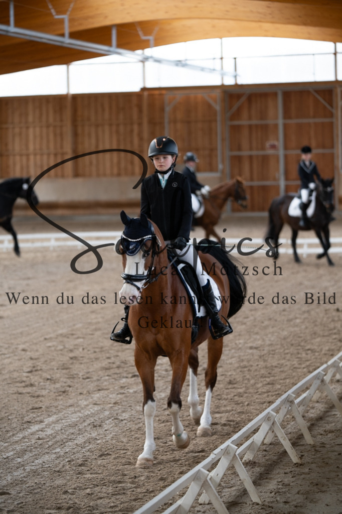 A7V09222 | Pferdefotograf