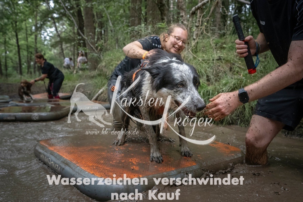 1212_ZZ97693T | kk-dogfotos