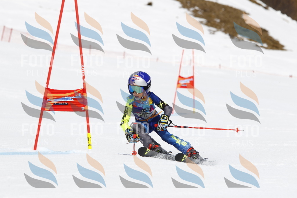 _U3G6462 | holidayphoto