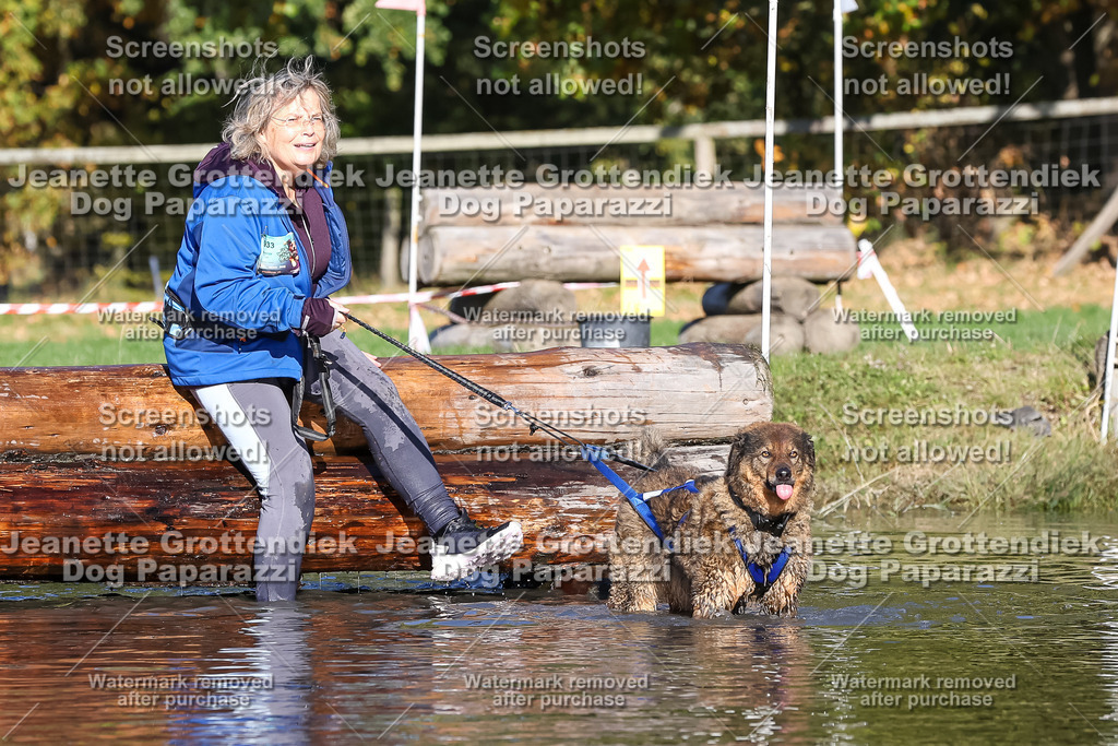 Dog Paparazzi - Strongdog 10-25-8906 | Dog Paparazzi Jeanette Grottendiek Fotografie & Videografie - Realisiert mit Pictrs.com