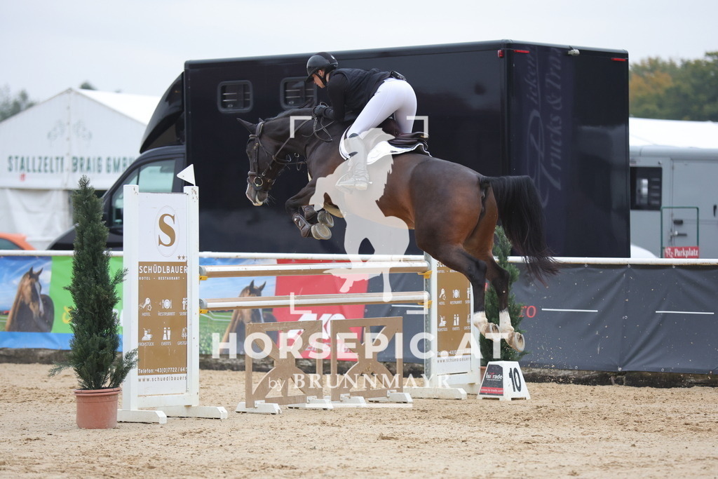 0P6A5857 | Willkommen bei Brunnmayr - Design & Fotografie – Ihrem Spezialisten für Reitturniere und Pferdeveranstaltungen in Oberösterreich, Salzburg und Bayern! Seit über 17 Jahren sind wir leidenschaftlich dabei.