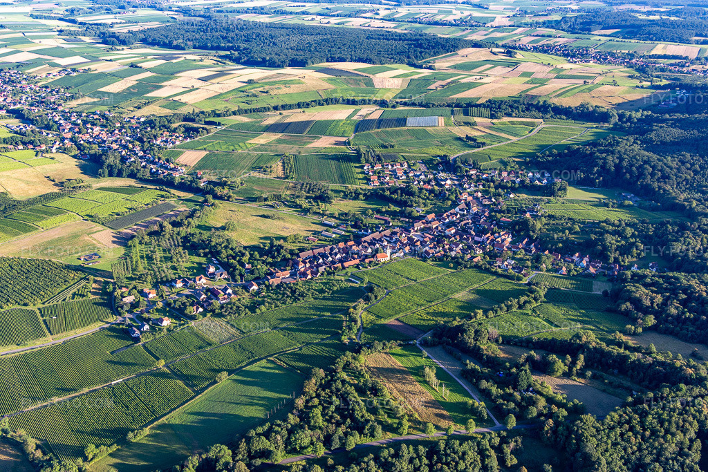 Aerial view: View of the town in Rott in the state Bas-Rhin, France.Photo: IMG_142325.jpg taken on 07/08/2024 by Werner Riehm/FLY-FOTO.comResolution of the original: 5472 x 3648 px