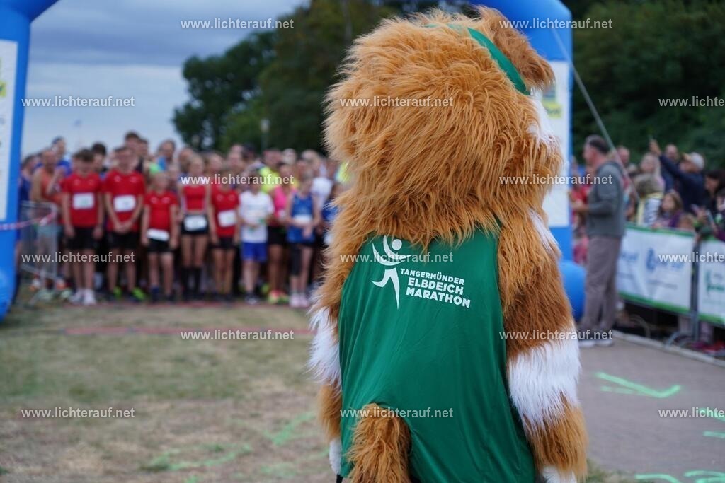 DSC05210 | Lichterlauf  - Realisiert mit Pictrs.com