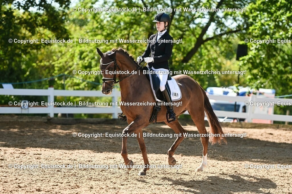 20230715_06_Dressurpferdeprfg. Kl.A_0416 | equistock