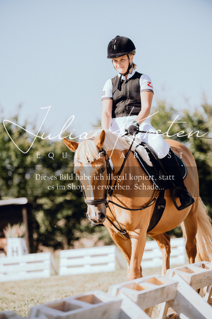 DSC_7082 | Pferde- und Turnierfotografie in Westsachsen. Pferdeportraits, Auftragszeichnungen und intuitive Kunst.