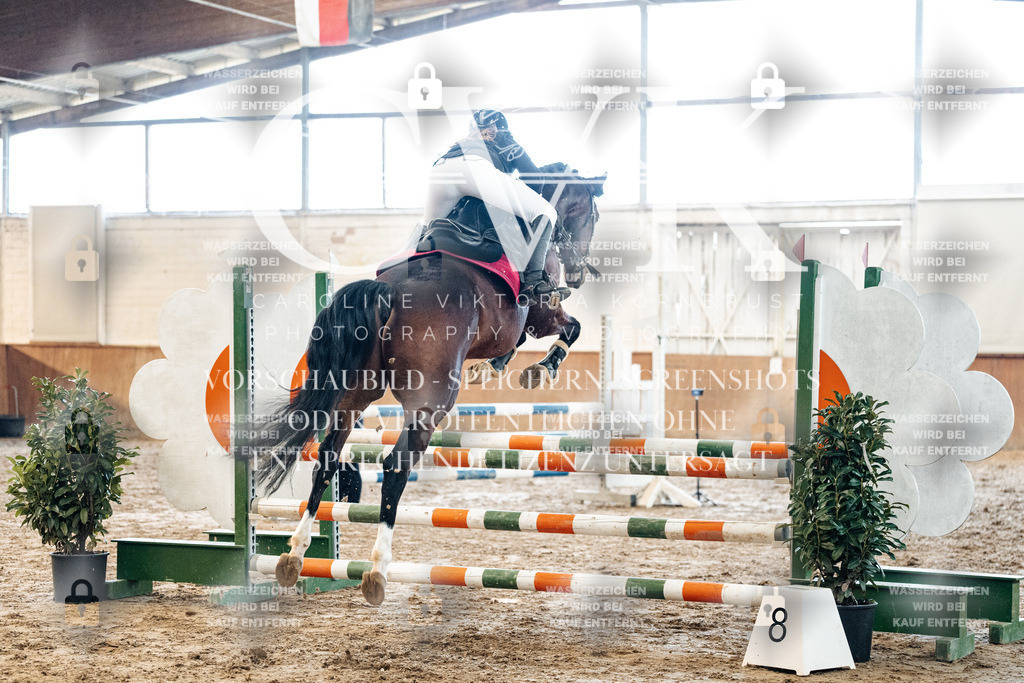 CK904546 | Turnierfotografie Pferdefotografie Trier Rheinland-Pfalz Pferdesport Reitsport Tierfotografie Sportfotografie Pferdevideo Pferdevideografie Equestrianvideography equestrianphotography  - Realized with Pictrs.com