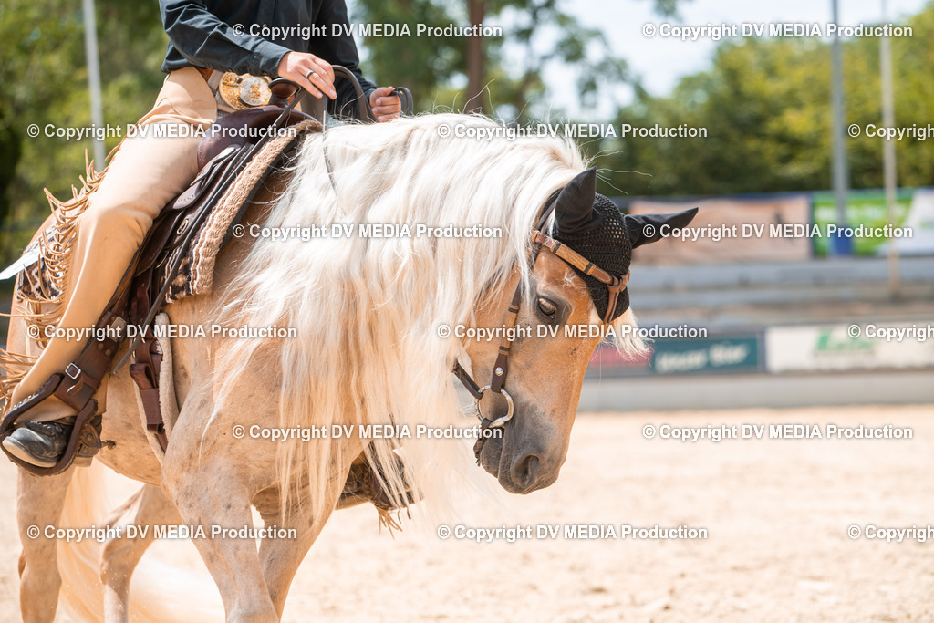 EWP_6525 | dv-media-shop - Realisiert mit Pictrs.com