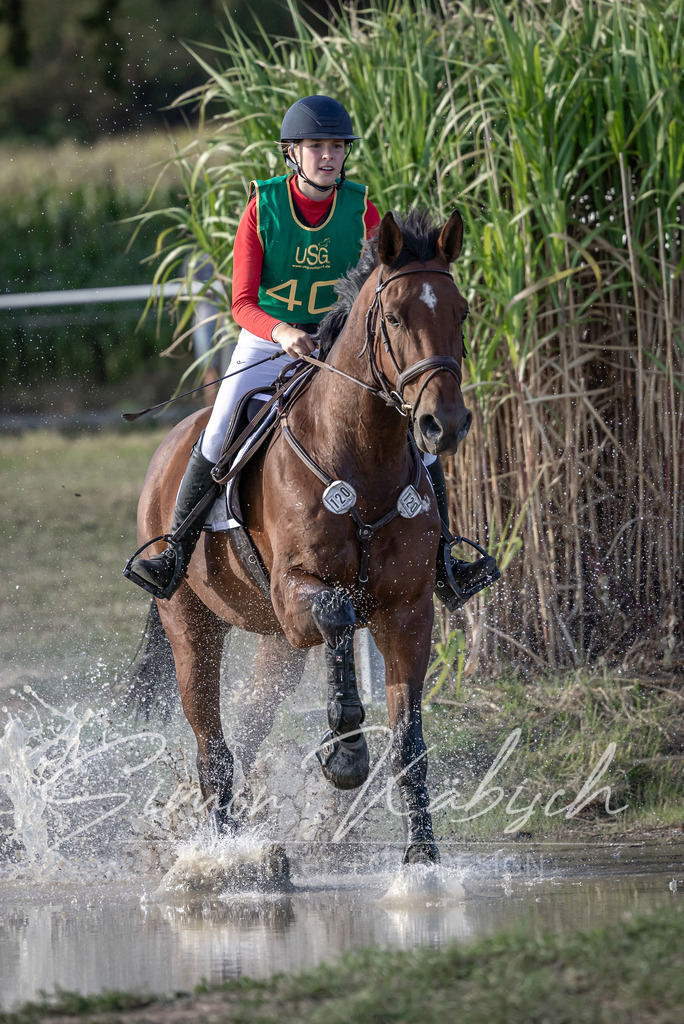 20250907-_3LI4143 | Tierfotografie Pferde, Hunde, Katzen, Haustiere.
Turnierfotografie Reitturniere, Reiten, Springreiten, Dressur in Hanau, dem Main-Kinzig-Kreis und dem Rhein-Main- Gebiet um Frankfurt