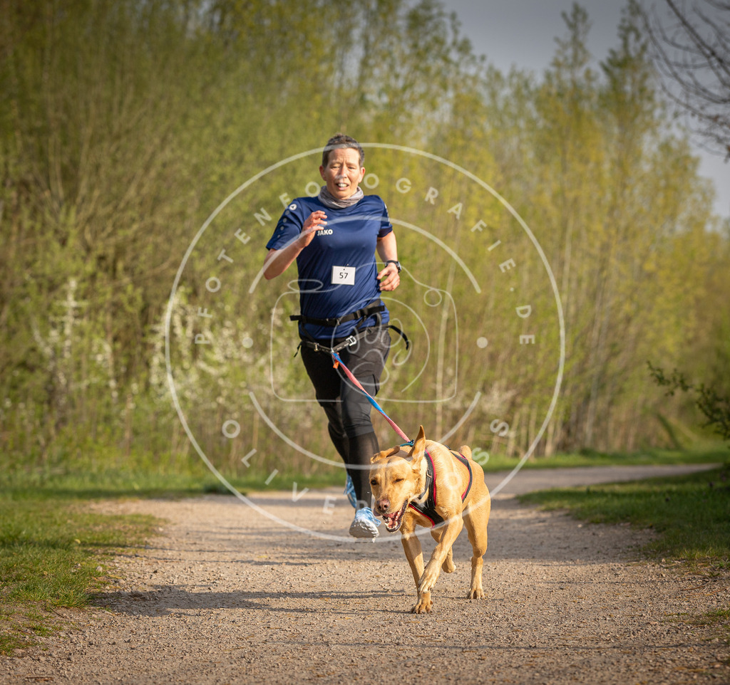 Pfotenfotografie_DV3A4677 | Hundefotografie, Tierfotograf, Pfotenfotografie, Fotoshooting Hund, Hunde Portrait, Hundesport, Hundeportraits, Heideshooting, Hunde, Sportfotograf, Hundefotograf, Turnierhundsport, THS,  - Realisiert mit Pictrs.com