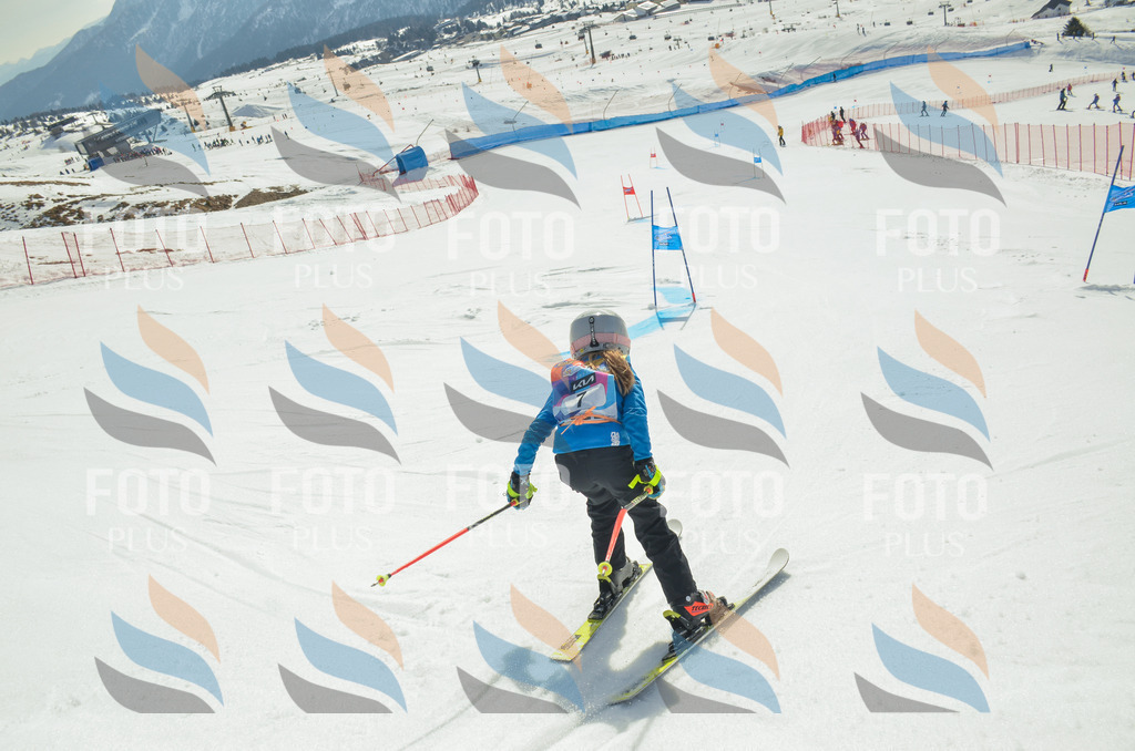 _ELE4492 | holidayphoto