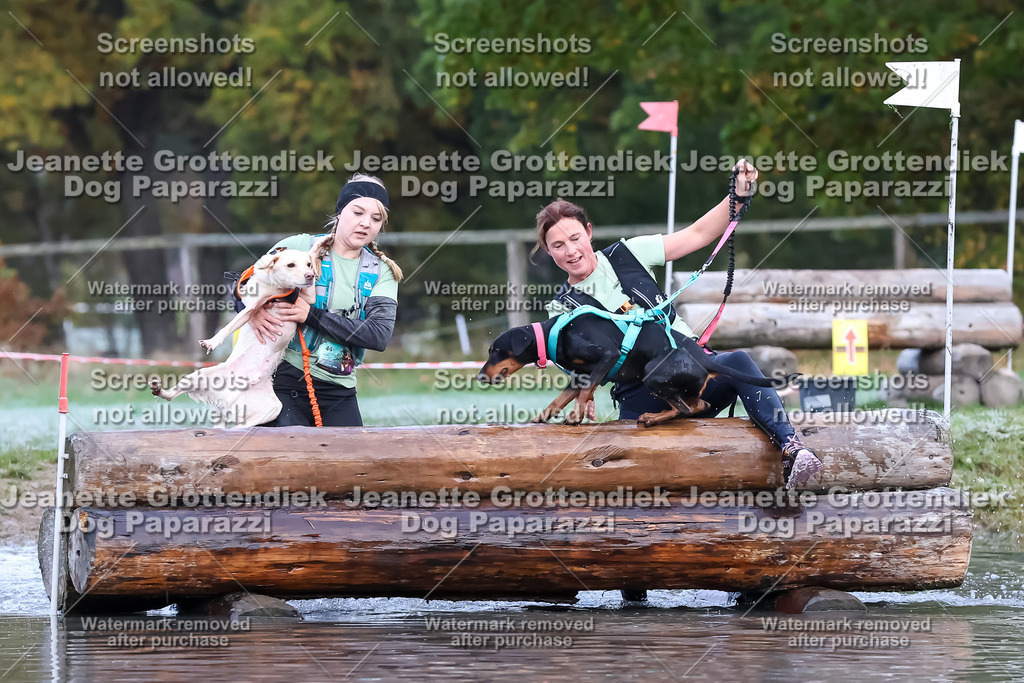 Dog Paparazzi - Strongdog 10-25-6234 | Dog Paparazzi Jeanette Grottendiek Fotografie & Videografie - Realisiert mit Pictrs.com