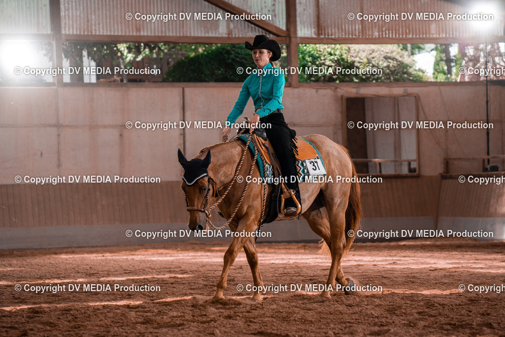 NE100431 | dv-media-shop - Realisiert mit Pictrs.com