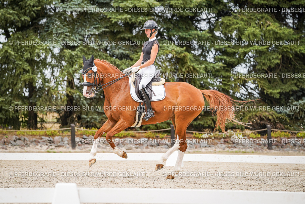 DSC07922 | Pferdegrafie