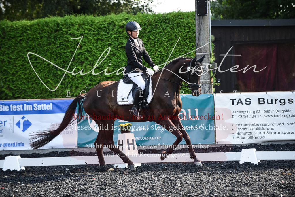 DSC_3193 | Pferde- und Turnierfotografie in Westsachsen. Pferdeportraits, Auftragszeichnungen und intuitive Kunst.