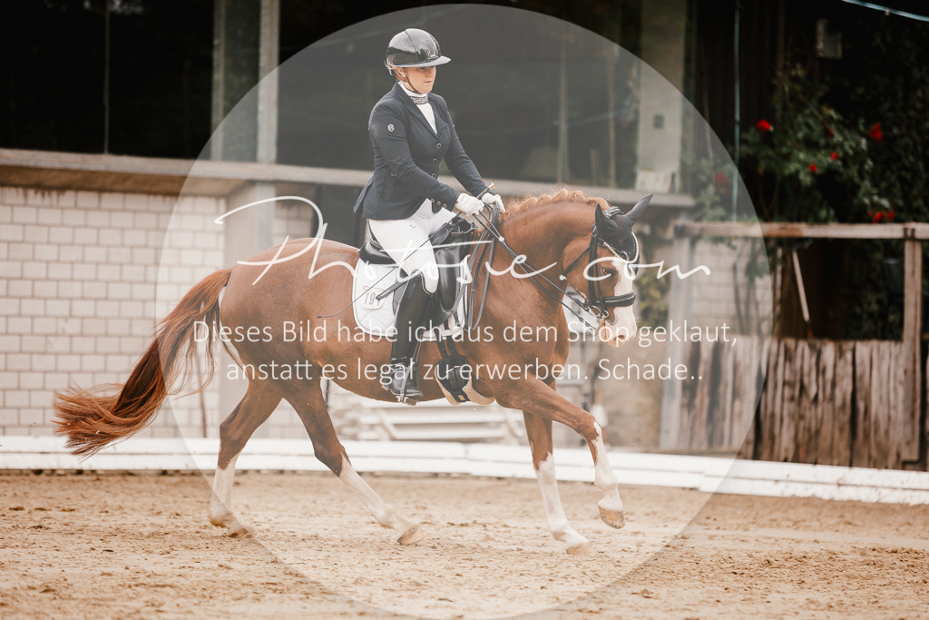 3I6A7812 | Stimmungsvolle Portraits und Reitsportfotografie im Ruhrgebiet und im Münsterland.

Pferdefotografie, Hundefotografie, Tierfotografie, Reportagen, Portraits von Tier und Mensch, Turnierfotografie in Bochum, Recklinghausen, Marl, Haltern am See, Dülmen.. - Realisiert mit Pictrs.com
