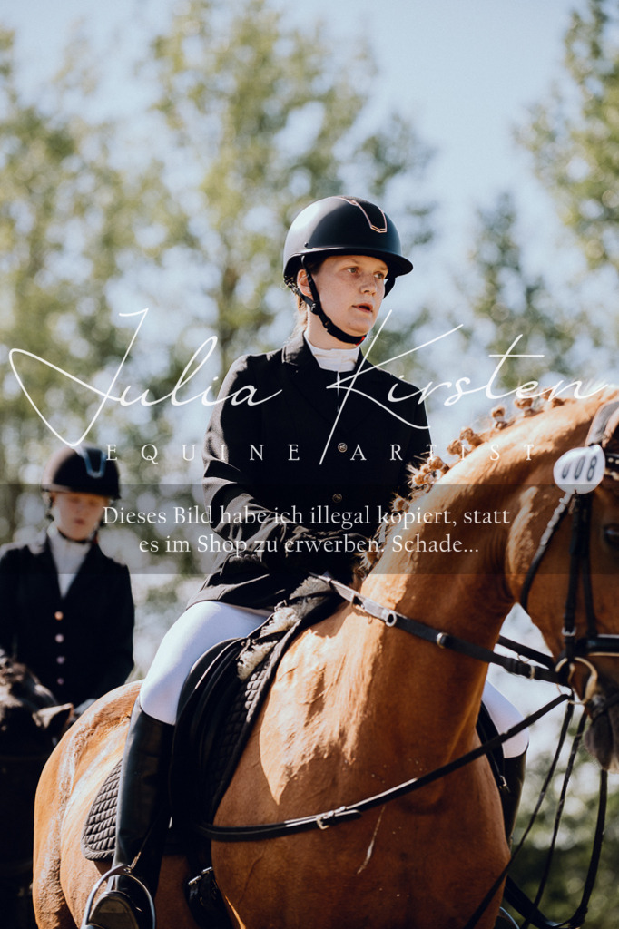 DSC_7239 | Pferde- und Turnierfotografie in Westsachsen. Pferdeportraits, Auftragszeichnungen und intuitive Kunst.