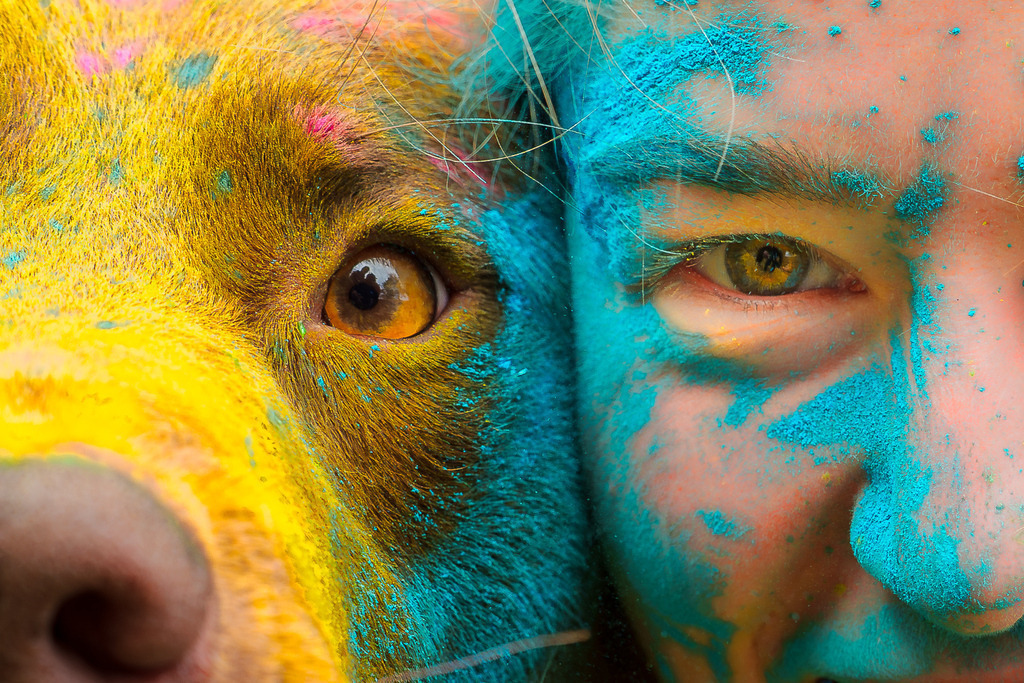 allesWIRTHgut Tierfotografie - 7IV04104-Verbessert-RR | Professionelle Tierfotografie in Mönchengladbach von Daniel Wirth (allesWIRTHgut). Liebevolle & natürliche Bilder von Hunden & Katzen für unvergessliche Erinnerungen.