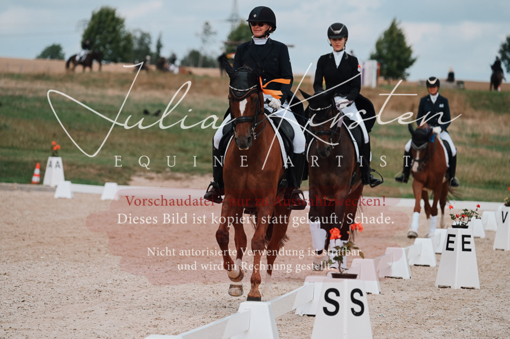 DSC_4135 | Pferde- und Turnierfotografie in Westsachsen. Pferdeportraits, Auftragszeichnungen und intuitive Kunst.