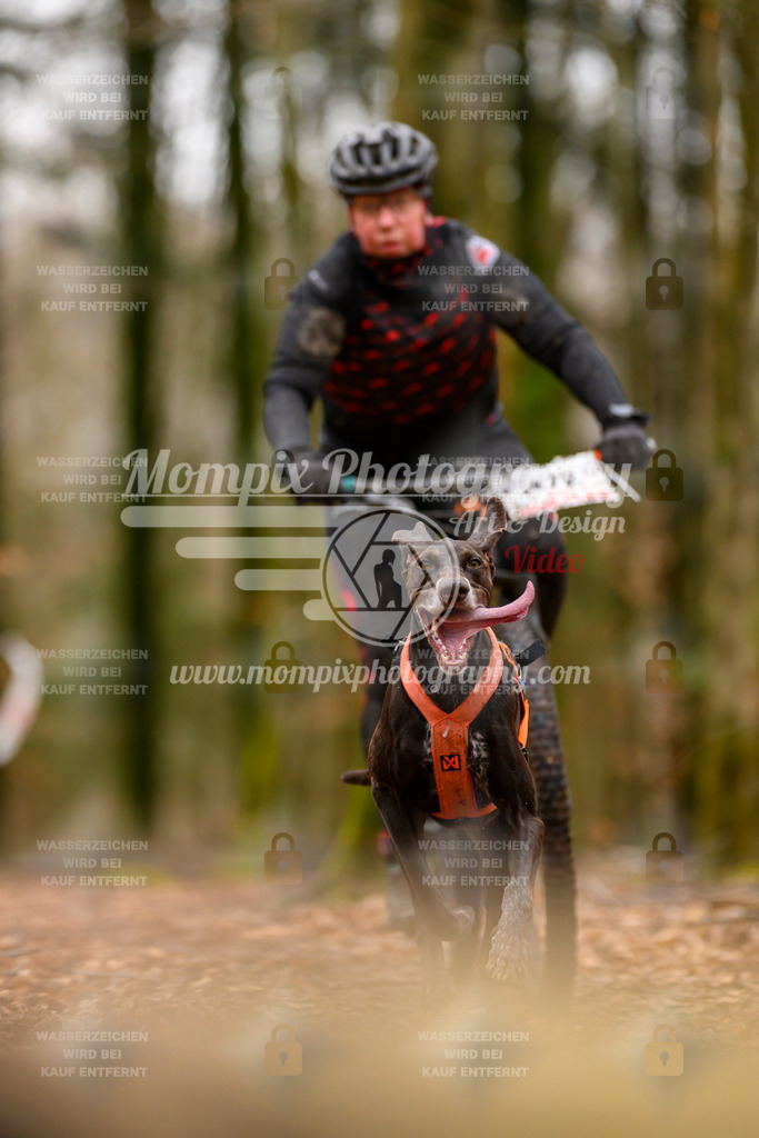MompixPhotography_Habay2024_SA_Bike-68 | PayLife