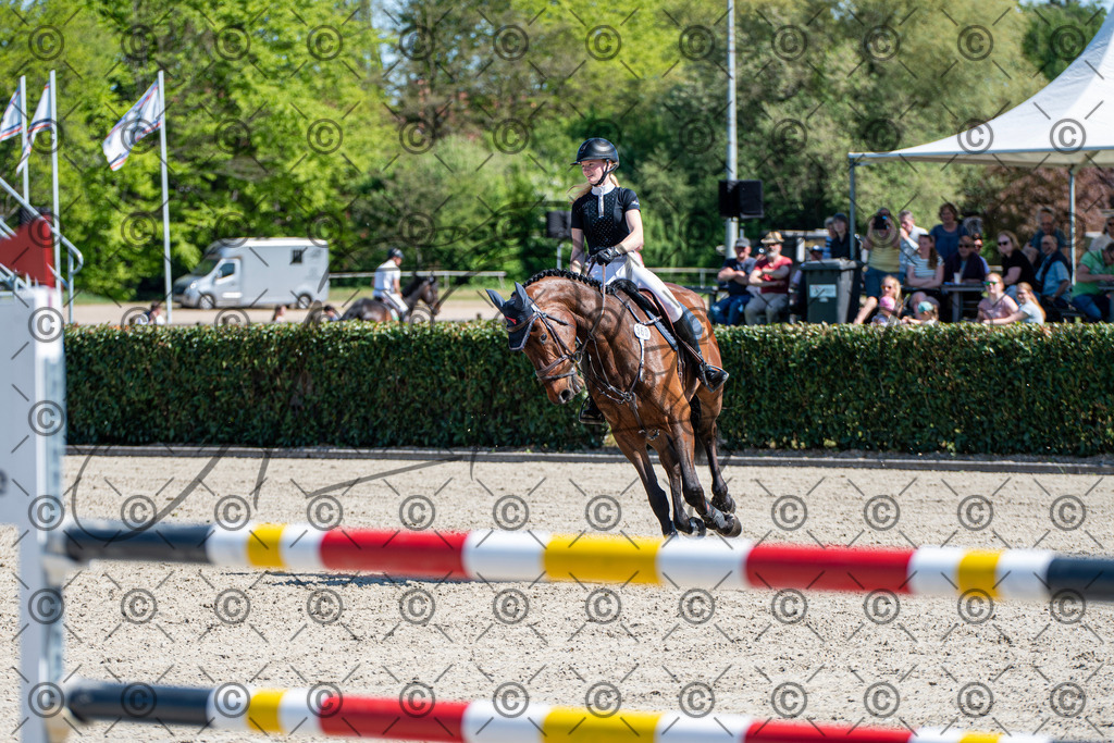 KPT_1284 | andre_photographic