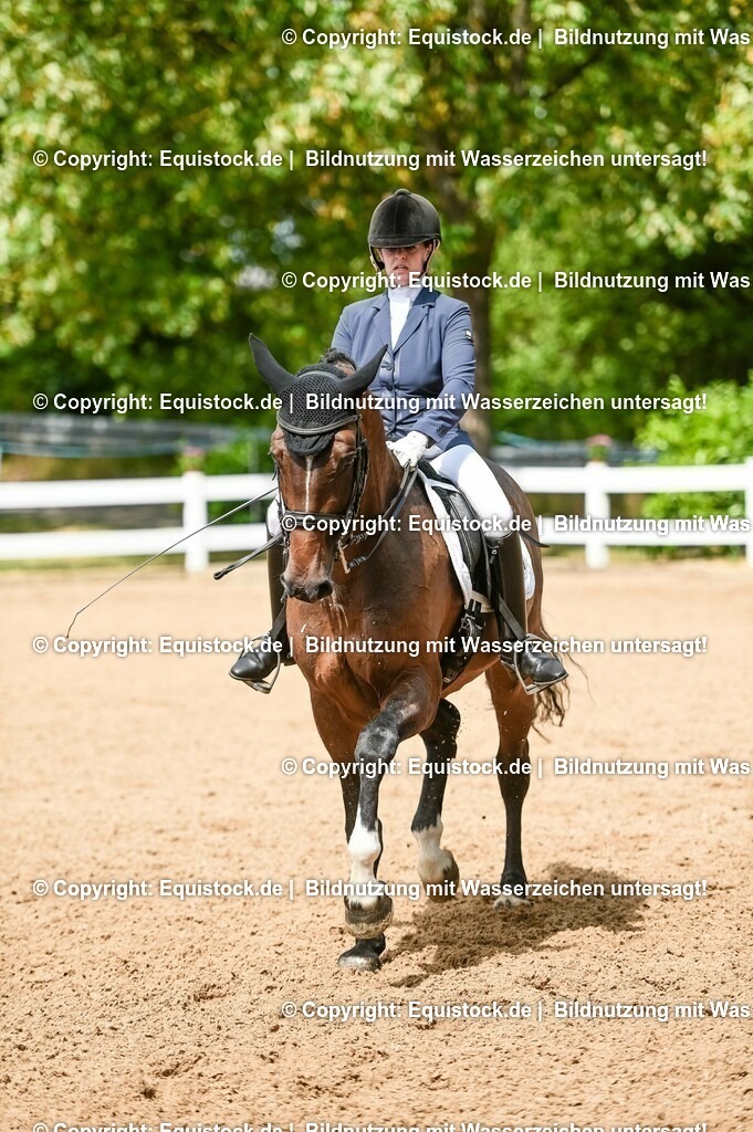 20230716_01_Dressurprüfung Kl.M_0178 | equistock