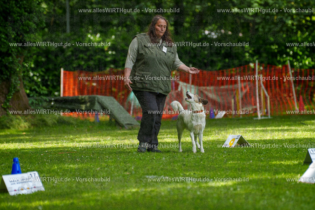 @allesWIRTHgut_Tierfotografie - www.allesWIRTHgut.de - 7R504373 | Professionelle Tierfotografie in Mönchengladbach von Daniel Wirth (allesWIRTHgut). Liebevolle & natürliche Bilder von Hunden & Katzen für unvergessliche Erinnerungen.