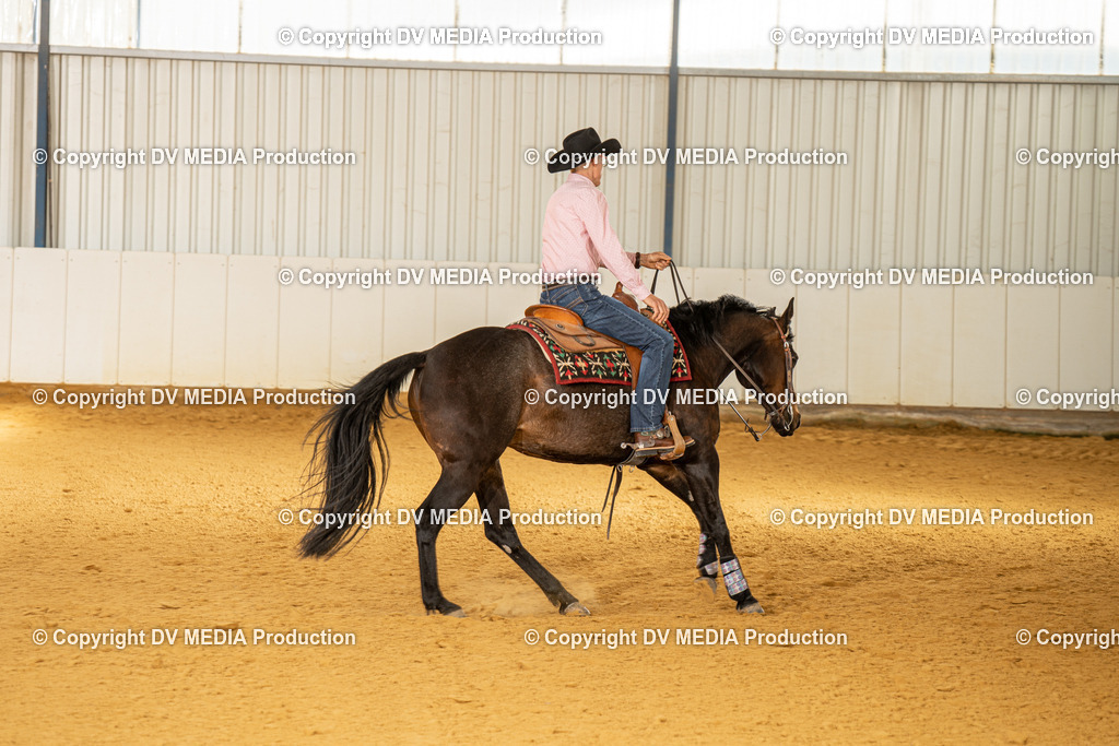 MIT01390 | dv-media-shop - Realisiert mit Pictrs.com