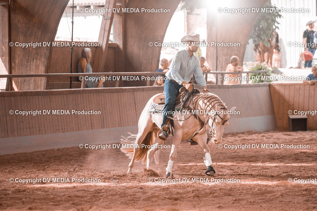 NE300764 | dv-media-shop - Realisiert mit Pictrs.com