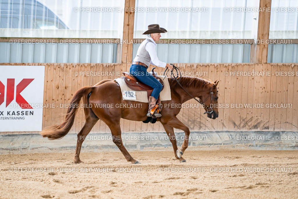 DSC07881 | Pferdegrafie