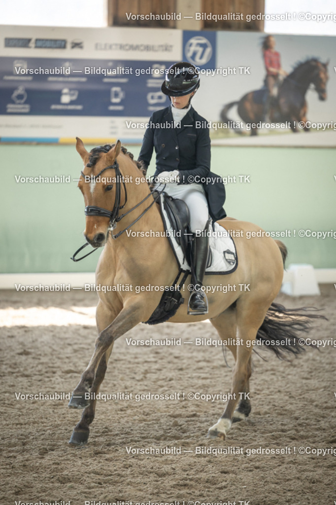 _D5A1796 | Emotionale Pferde- & People-Fotografie rund um Heidelberg, Leimen & Umgebung. Natürliche Fotos von Pferd, Mensch & Familie. Jetzt Termin sichern!