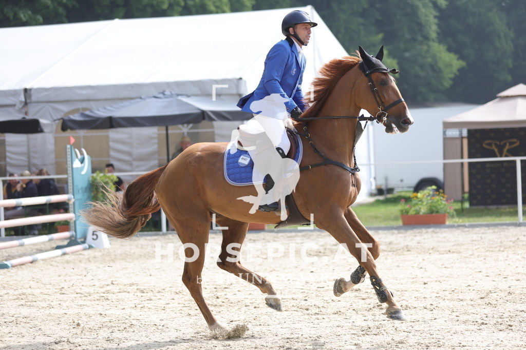 0P6A8110 | Willkommen bei Brunnmayr - Design & Fotografie – Ihrem Spezialisten für Reitturniere und Pferdeveranstaltungen in Oberösterreich, Salzburg und Bayern! Seit über 17 Jahren sind wir leidenschaftlich dabei.