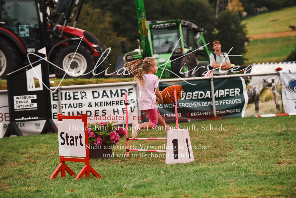 DSC_4534 | Pferde- und Turnierfotografie in Westsachsen. Pferdeportraits, Auftragszeichnungen und intuitive Kunst.