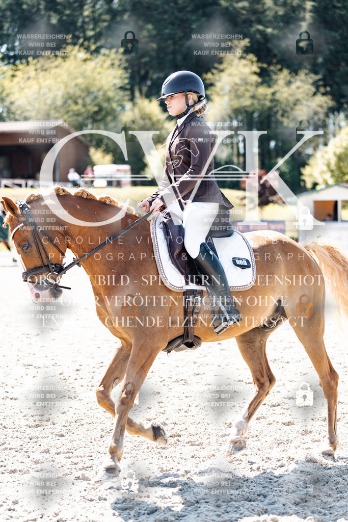CK904289 | Turnierfotografie Pferdefotografie Trier Rheinland-Pfalz Pferdesport Reitsport Tierfotografie Sportfotografie Pferdevideo Pferdevideografie Equestrianvideography equestrianphotography  - Realisiert mit Pictrs.com