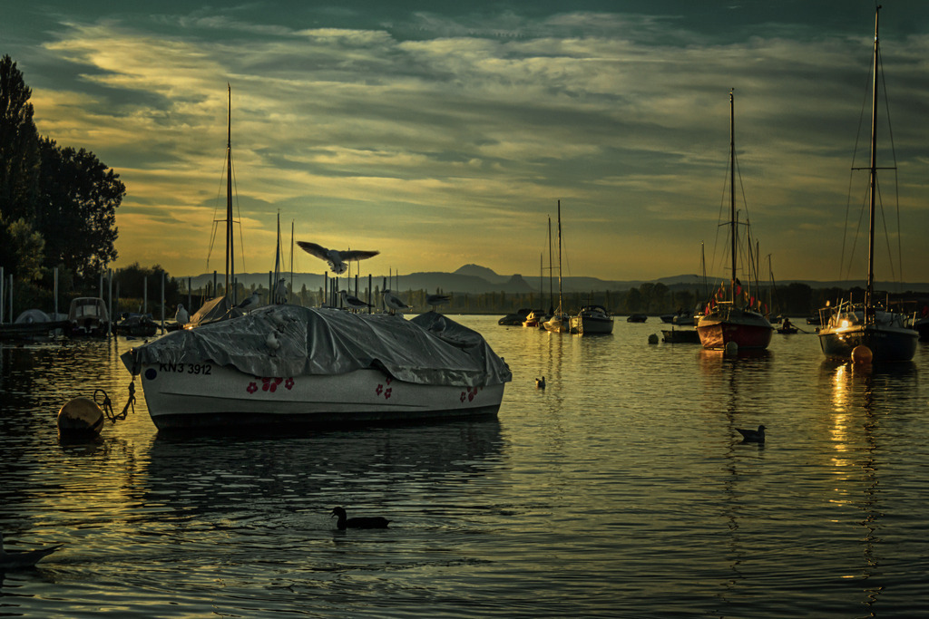 22 | Rothenburg ob der Tauber. Nur hier gibt es Exklusive und passend zur Jahreszeit Ihr Wandbild, T-Shirt, Tasse und alles was das Rothenburg Herz begehrt. - Realisiert mit Pictrs.com