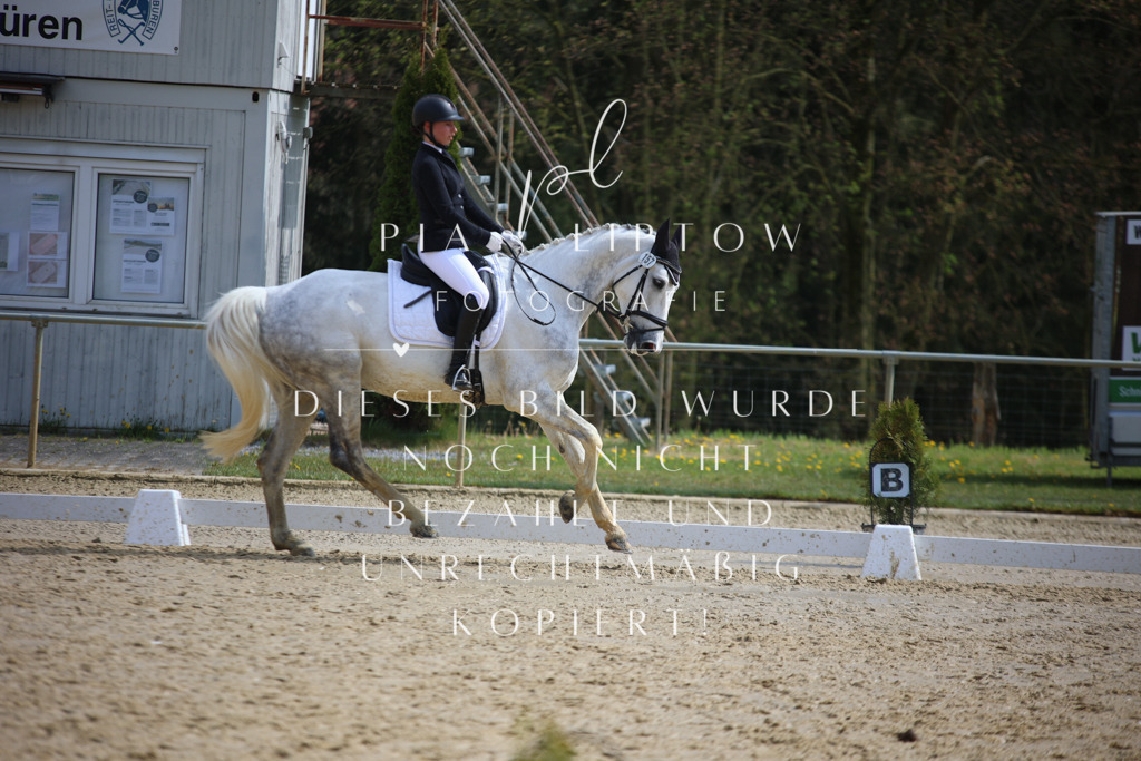 IMGT4825 | pl-fotografie