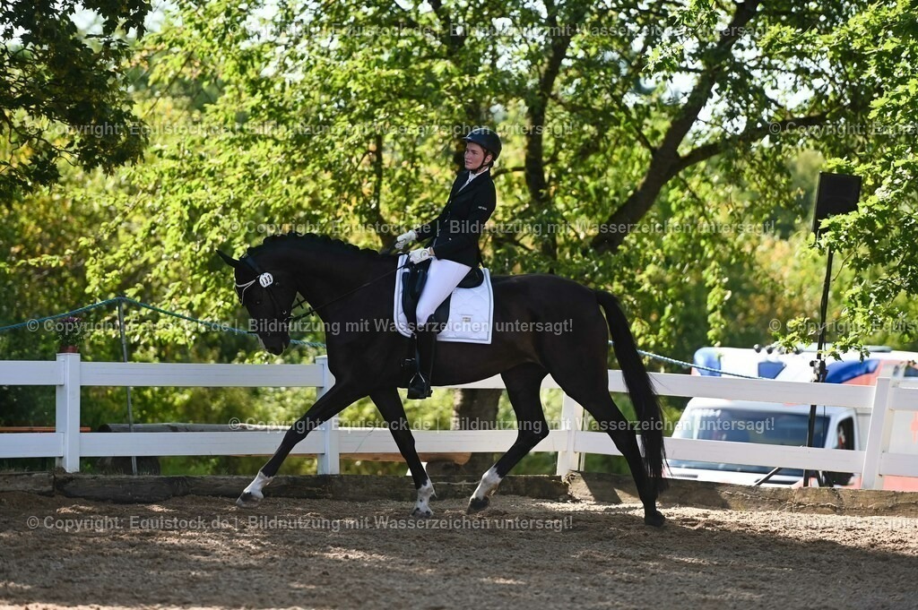 20230715_06_Dressurpferdeprfg. Kl.A_0372 | equistock
