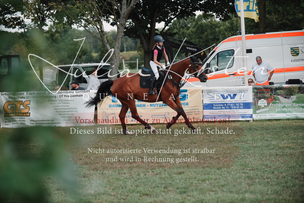 DSC_5601 | Pferde- und Turnierfotografie in Westsachsen. Pferdeportraits, Auftragszeichnungen und intuitive Kunst.