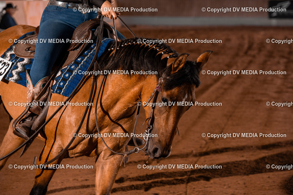 NE201452 | dv-media-shop - Realisiert mit Pictrs.com