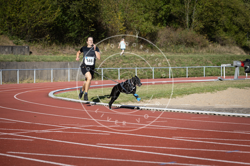 Pfotenfotografie_DV3A9022 | Hundefotografie, Tierfotograf, Pfotenfotografie, Fotoshooting Hund, Hunde Portrait, Hundesport, Hundeportraits, Heideshooting, Hunde, Sportfotograf, Hundefotograf, Turnierhundsport, THS,  - Realisiert mit Pictrs.com