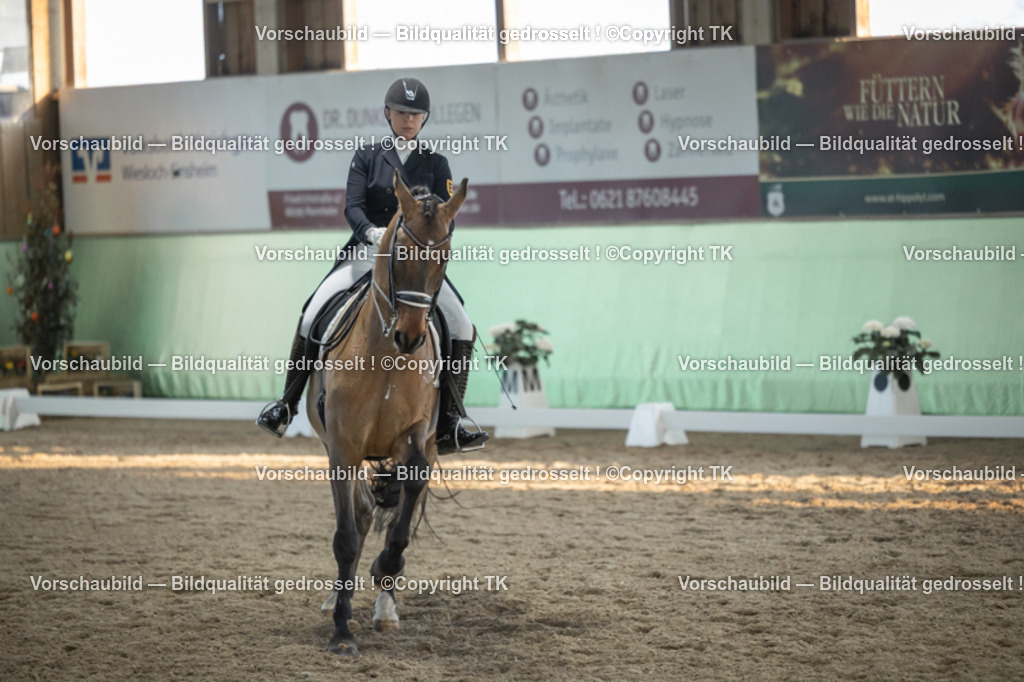 _D5A0901 | Emotionale Pferde- & People-Fotografie rund um Heidelberg, Leimen & Umgebung. Natürliche Fotos von Pferd, Mensch & Familie. Jetzt Termin sichern!