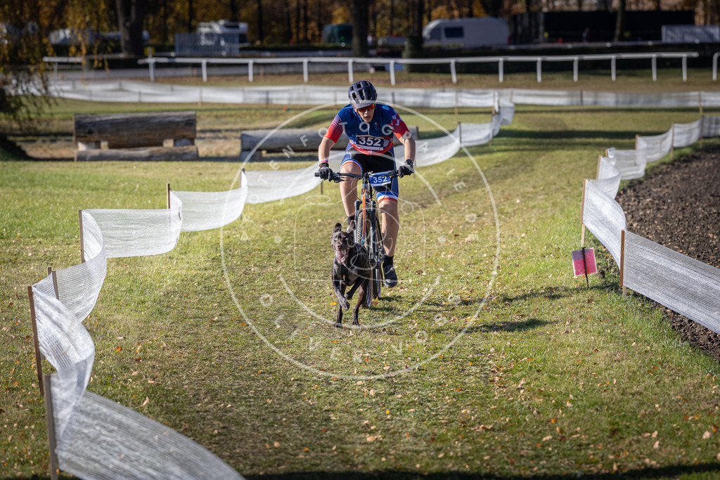 CaniXpix_DV3A7176 | Hundefotografie, Tierfotograf, Pfotenfotografie, Fotoshooting Hund, Hunde Portrait, Hundesport, Hundeportraits, Heideshooting, Hunde, Sportfotograf, Hundefotograf, Turnierhundsport, THS,  - Realisiert mit Pictrs.com