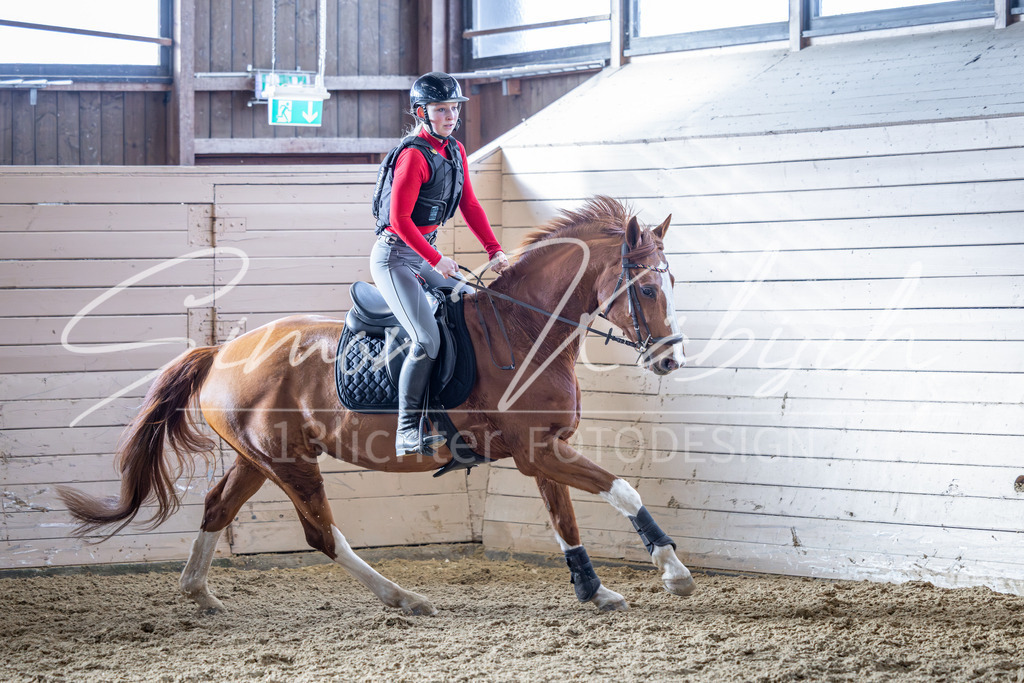20260221-_3LI9247 | Tierfotografie Pferde, Hunde, Katzen, Haustiere.
Turnierfotografie Reitturniere, Reiten, Springreiten, Dressur in Hanau, dem Main-Kinzig-Kreis und dem Rhein-Main- Gebiet um Frankfurt