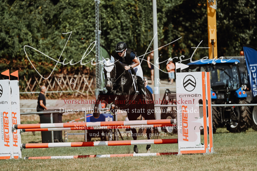 DSC_9845 | Pferde- und Turnierfotografie in Westsachsen. Pferdeportraits, Auftragszeichnungen und intuitive Kunst.
