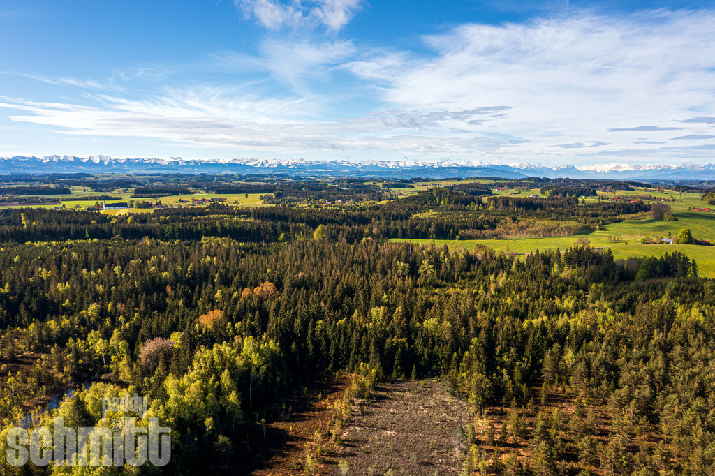 PS-Allgaeu-2026-136 | Entdecke die größte Bildgalerie der Region mit Fotografien aus dem Allgäu, der Bodenseeregion, Oberschwaben, dem Donautal und der Schwäbischen Alb. Landschaften, Luftaufnahmen und Reisefotografie als Wandbild und Fotokunst. - Realisiert mit Pictrs.com