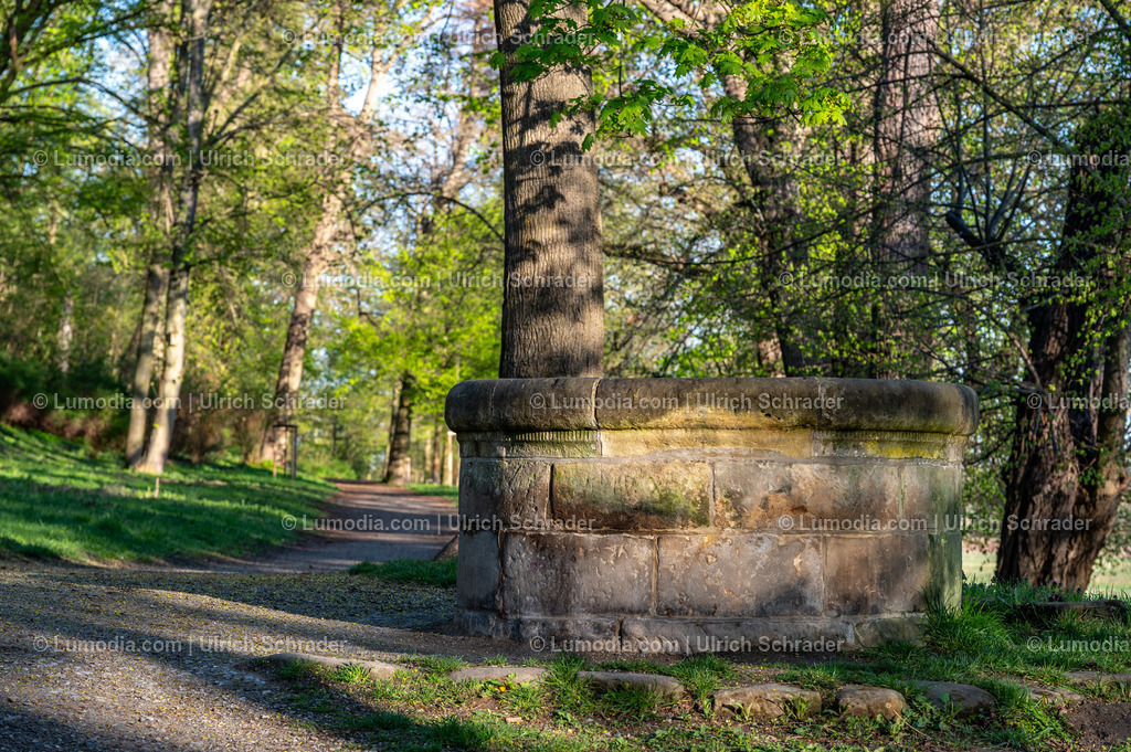 10049-14017 - In den Spiegelsbergen - Halberstadt | Stockfoto und Bilderpool mit Bildmaterial aus Deutschland, dem Harz, Halberstadt, Quedlinburg, Wernigerode und weltweit. Qualitativ hochwertige und professionelle Fotos anschauen und kaufen. - Realized with Pictrs.com